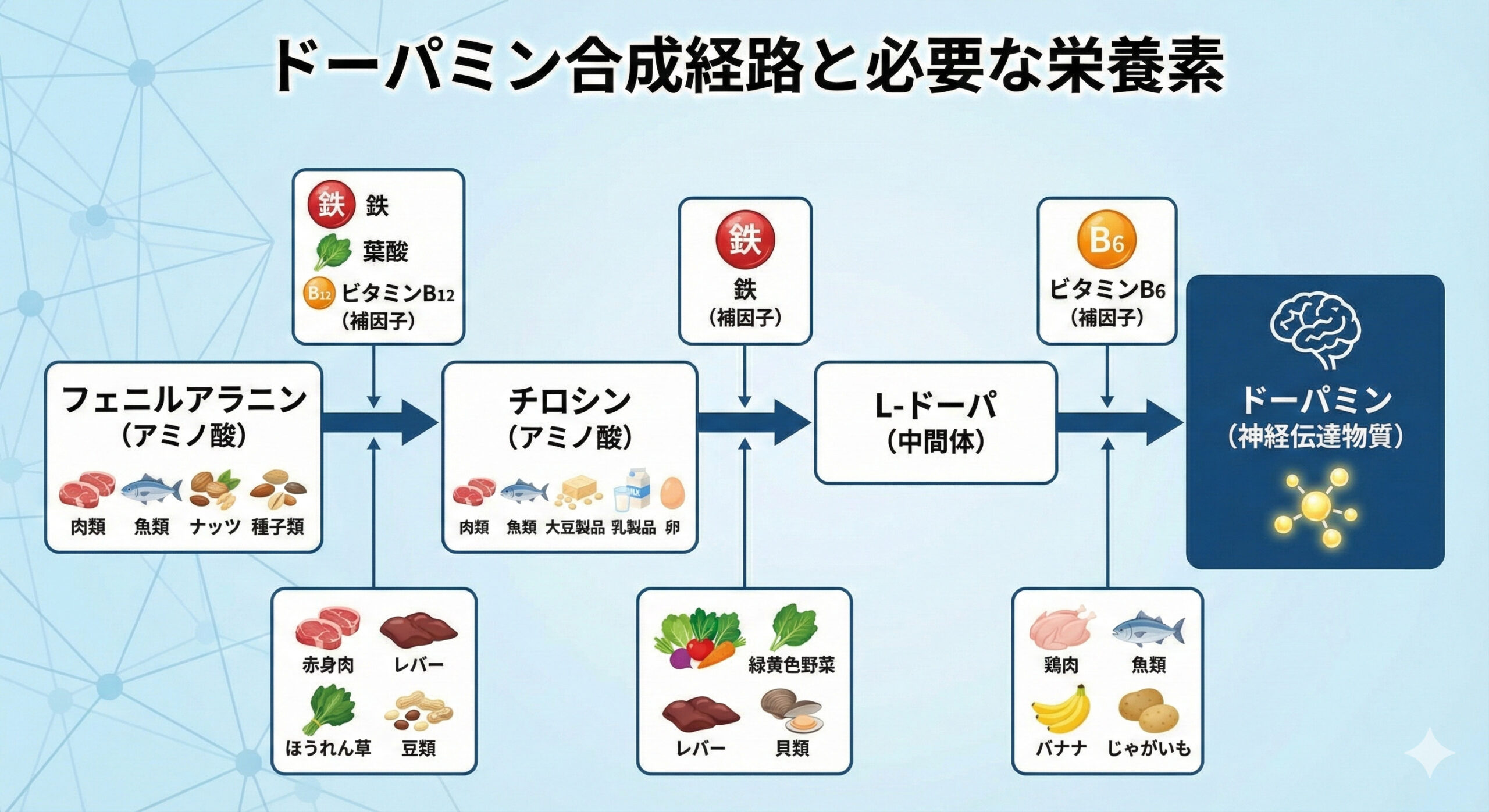 ドーパミンと栄養