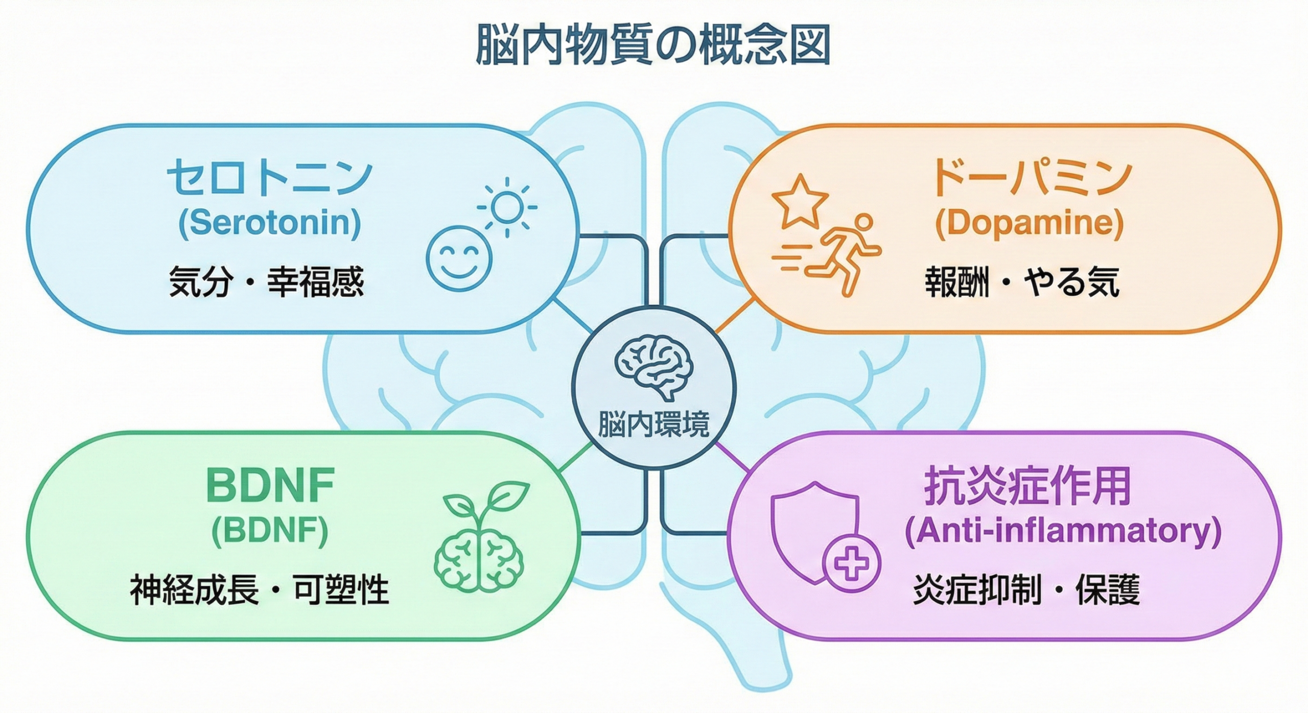 運動が脳内物質（セロトニン・ドーパミン・BDNF）に与える影響の概念図