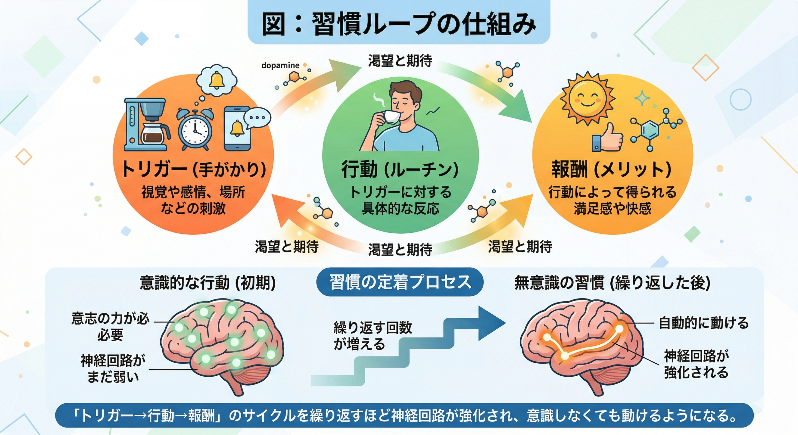 習慣ループの図：トリガー（きっかけ）→ルーティン（行動）→報酬（達成感）が循環して自動化される仕組み